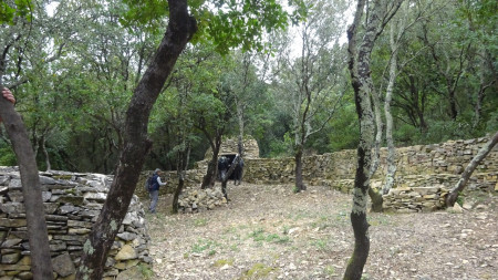 Clos Bertrand